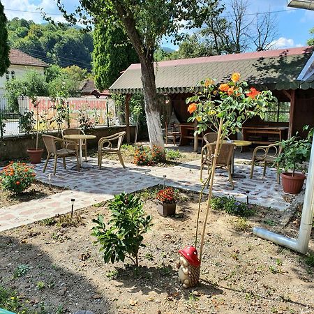 Стаи За Гости Тони Ribarica Exterior photo