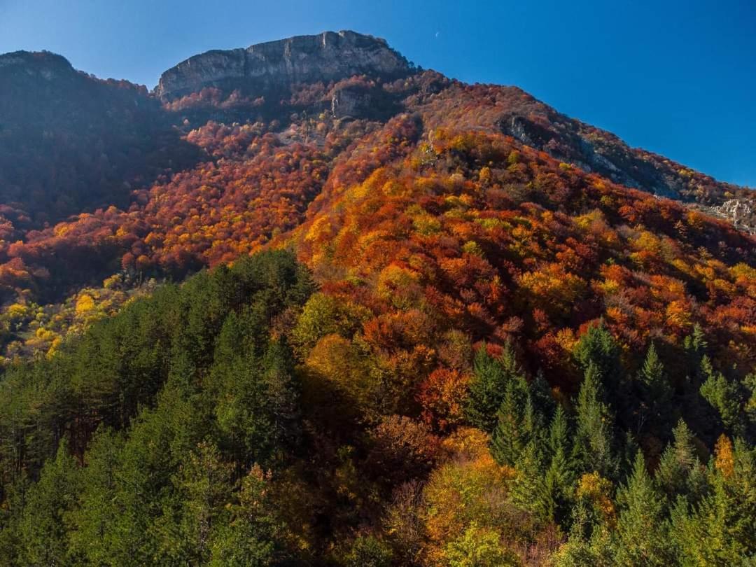 Стаи За Гости Тони Ribarica Exterior photo